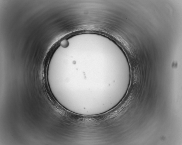 X0000103481070200810031538