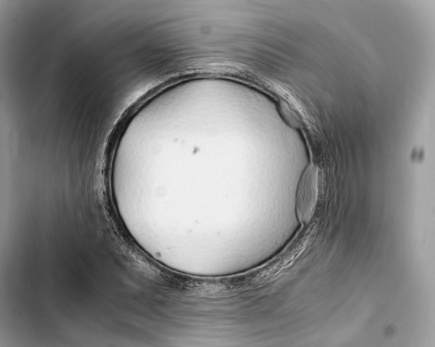 X0000103481071200810031538