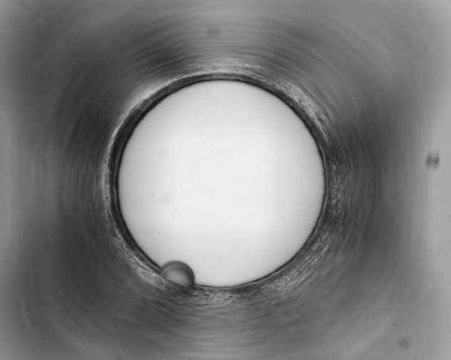 X0000103481072200810031538