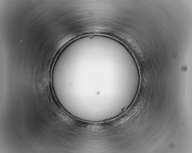 X0000103481073200810031538