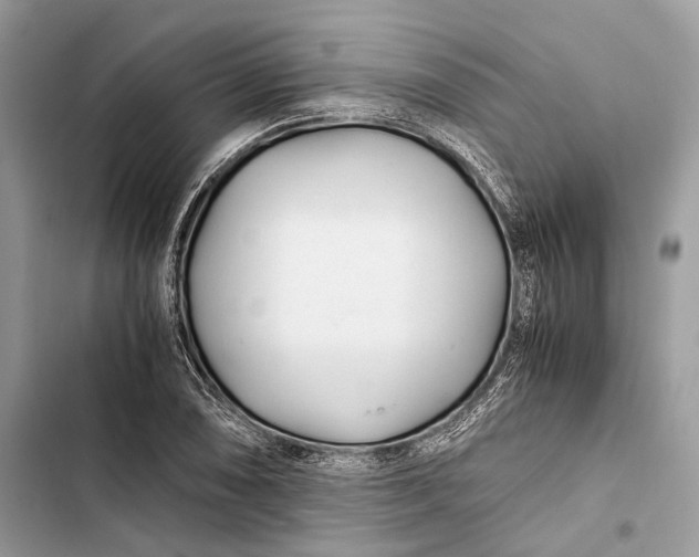 X0000103481074200810031538