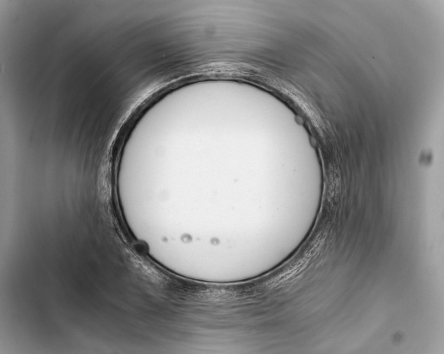 X0000103481075200810031538