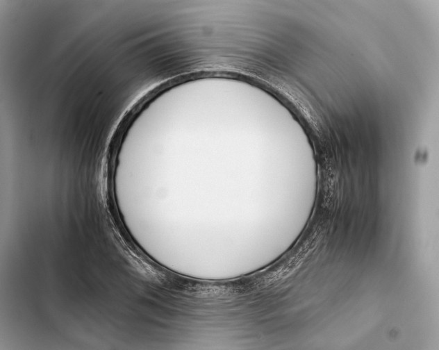 X0000103481076200810031538