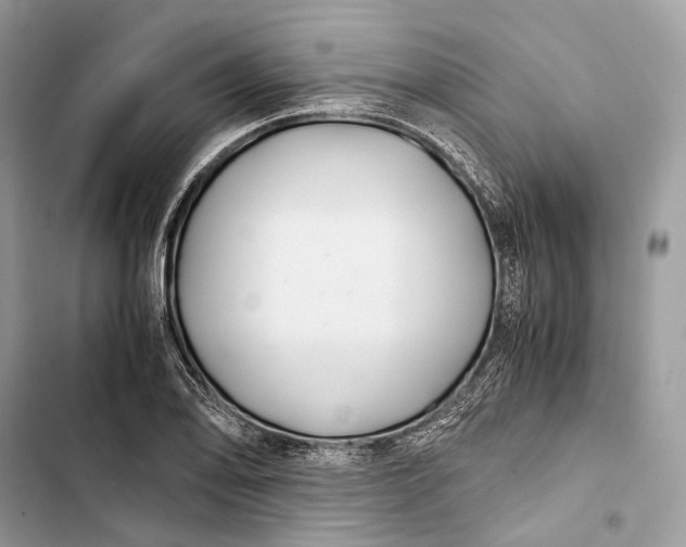 X0000103481078200810031538