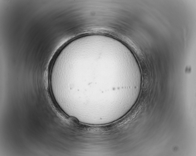 X0000103481079200810031538