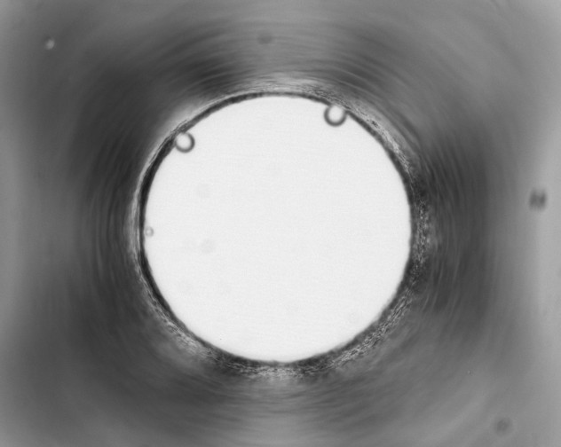 X0000103481080200810031538