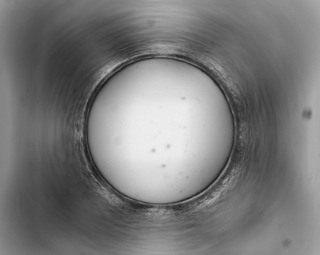 X0000103481081200810031538