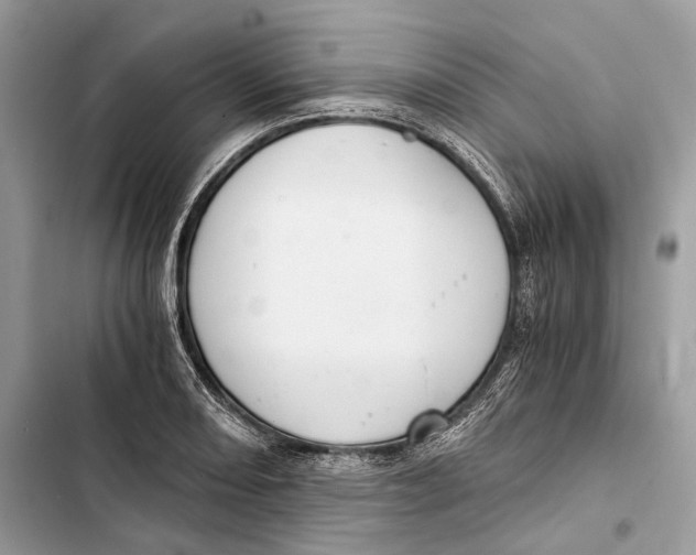 X0000103481082200810031538