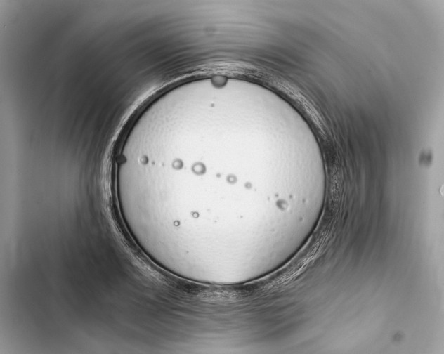 X0000103481083200810031538