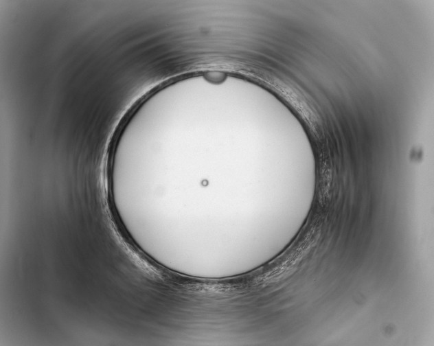 X0000103481084200810031538