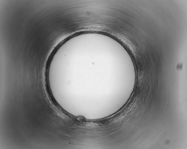 X0000103481085200810031538