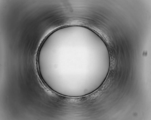 X0000103481086200810031538