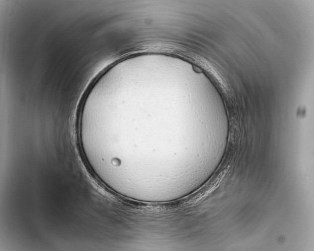 X0000103481087200810031538