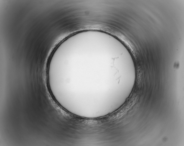 X0000103481088200810031538