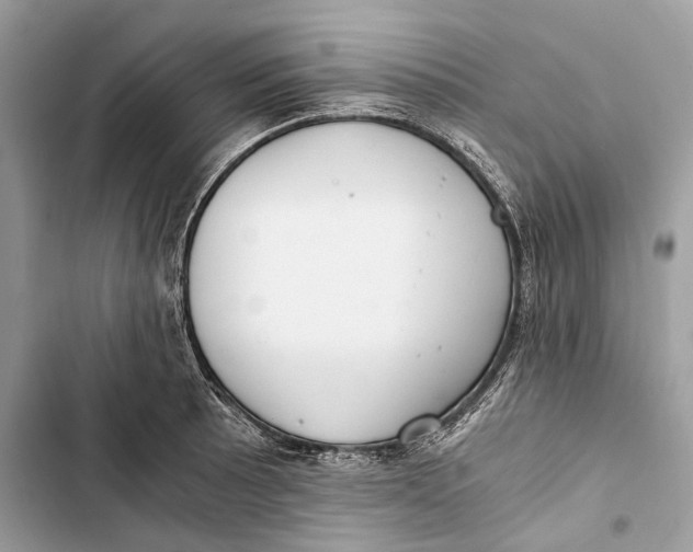 X0000103481089200810031538