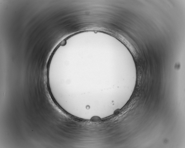 X0000103481092200810031537