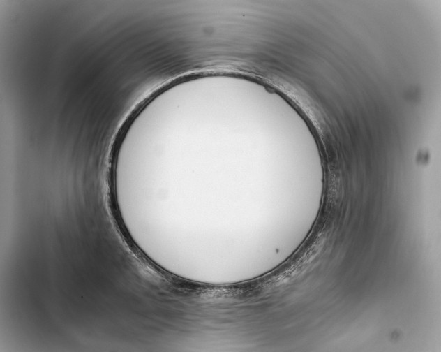 X0000103481093200810031537