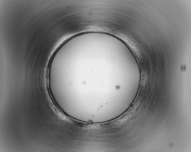 X0000103481094200810031537