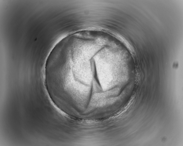 X0000103481095200810031537