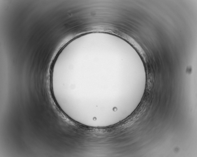 X0000103481096200810031537