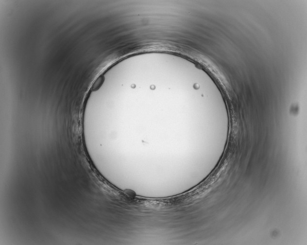 X0000103481097200810031537