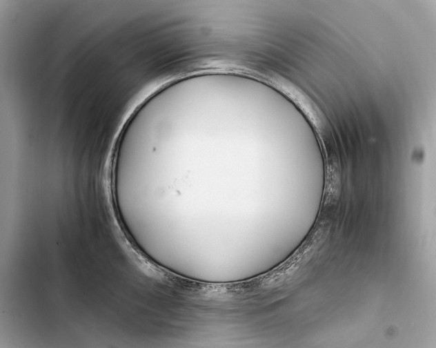 X0000103481098200810031537