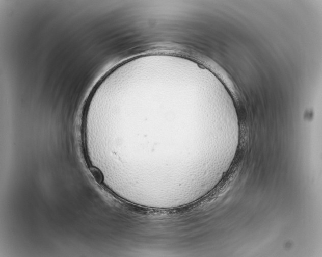 X0000103481099200810031537