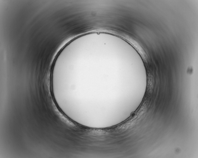 X0000103481100200810031537