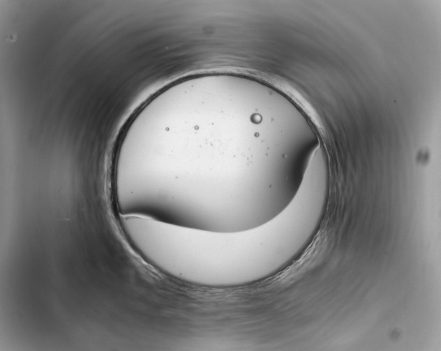 X0000103481101200810031537