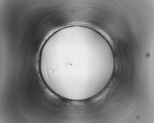 X0000103481102200810031537