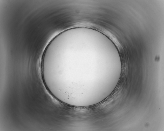 X0000103481103200810031537