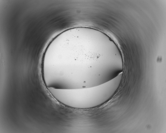 X0000103481104200810031537