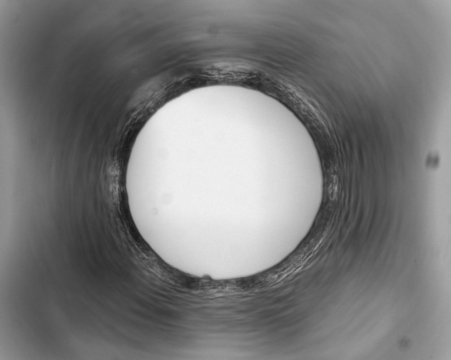 X0000103481108200810031537