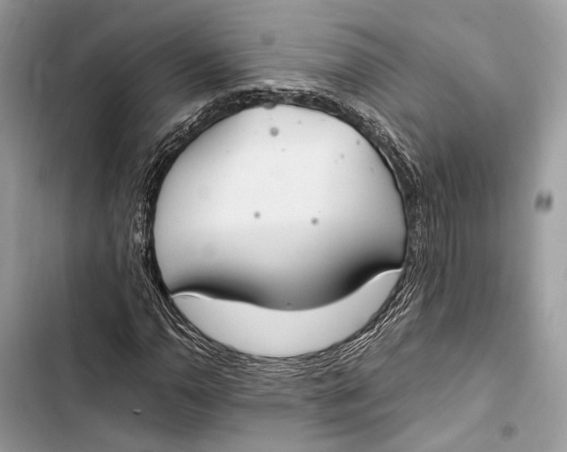 X0000103481110200810031537