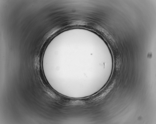 X0000103481113200810031537