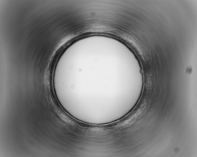 X0000103481114200810031537