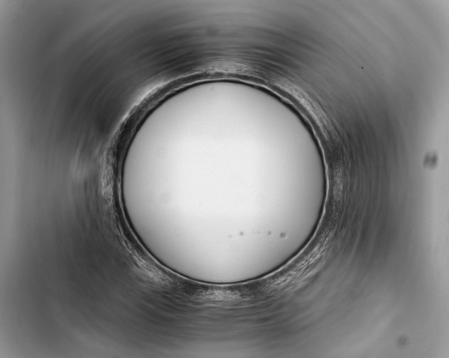 X0000103481115200810031537