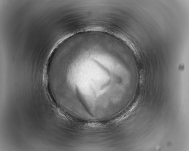 X0000103481117200810031537