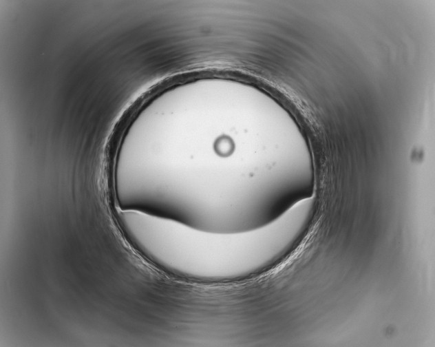 X0000103481118200810031537