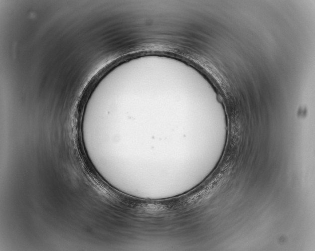 X0000103481119200810031537