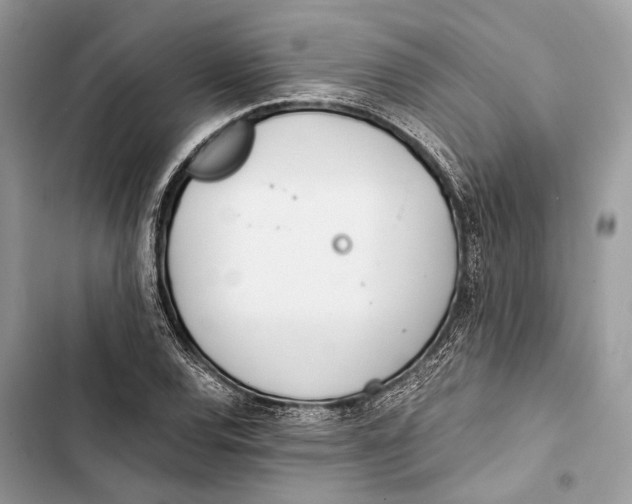 X0000103481120200810031537