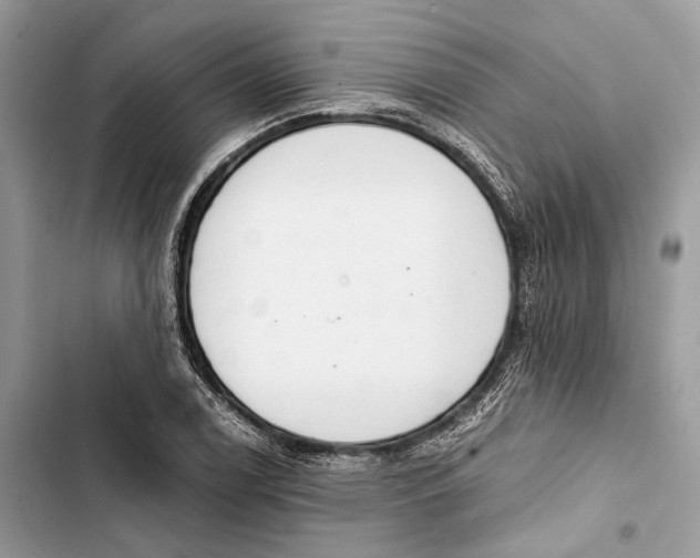 X0000103481122200810031537