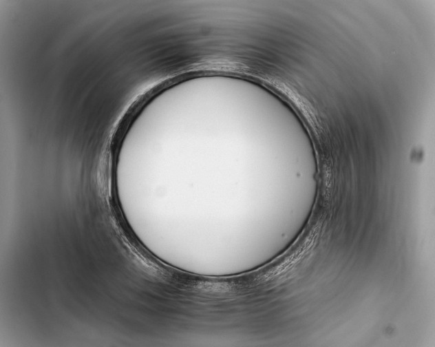 X0000103481123200810031537