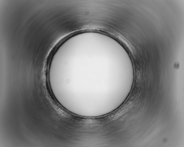 X0000103481124200810031537