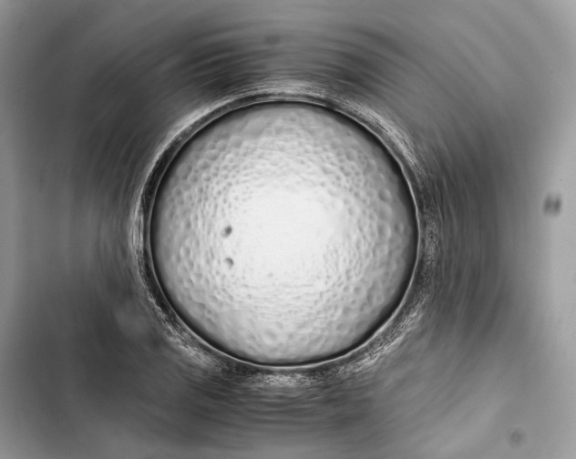 X0000103481125200810031537