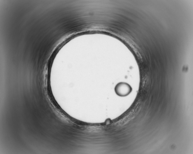 X0000103481126200810031537