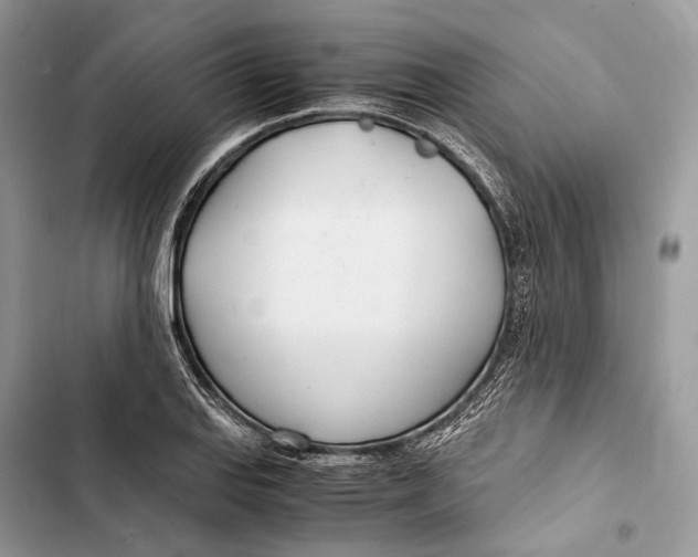 X0000103481127200810031537