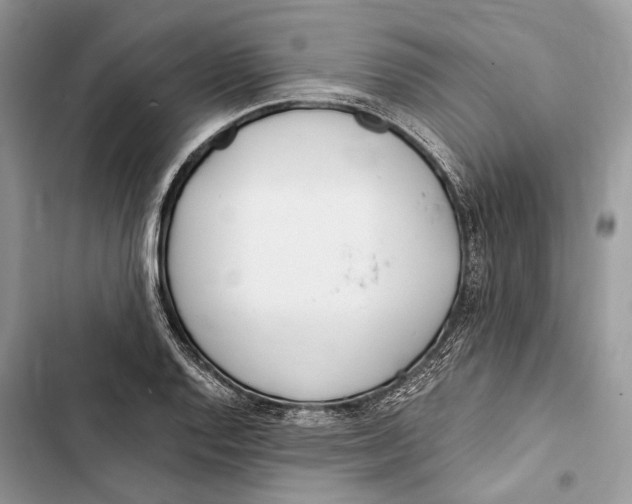 X0000103481128200810031537