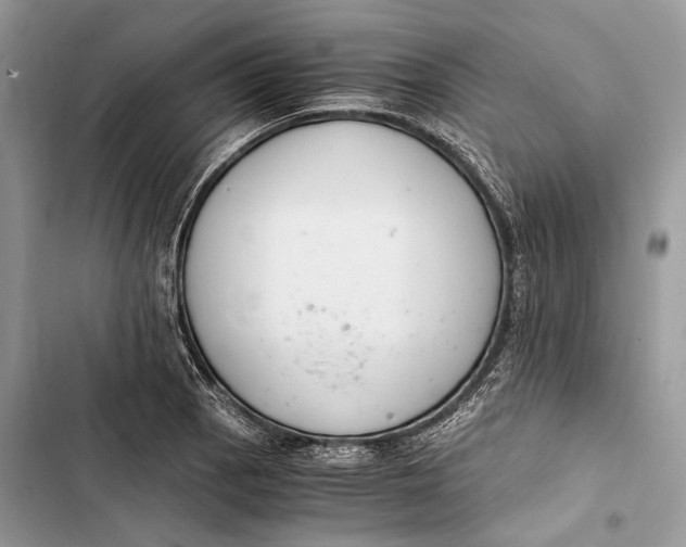 X0000103481129200810031537