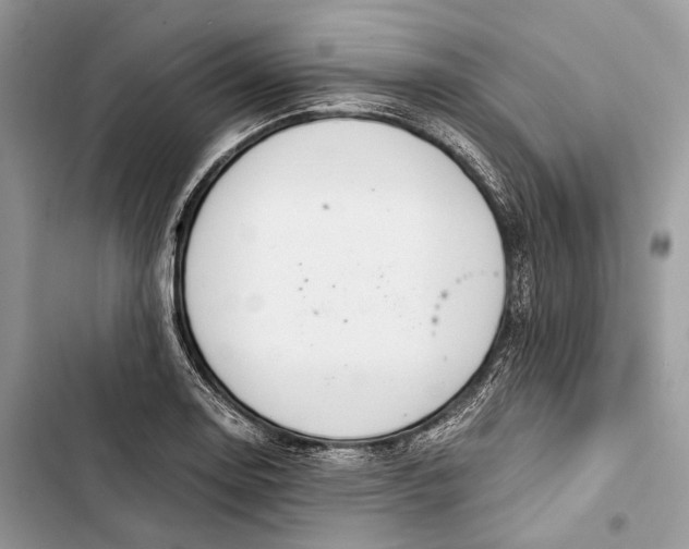 X0000103481130200810031537